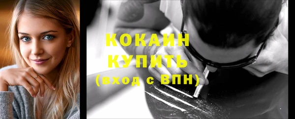 дурь Ельня