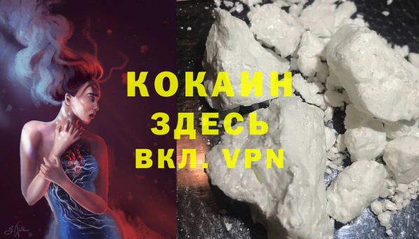 дурь Ельня