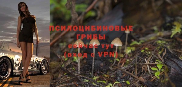 а пвп мука Елизово