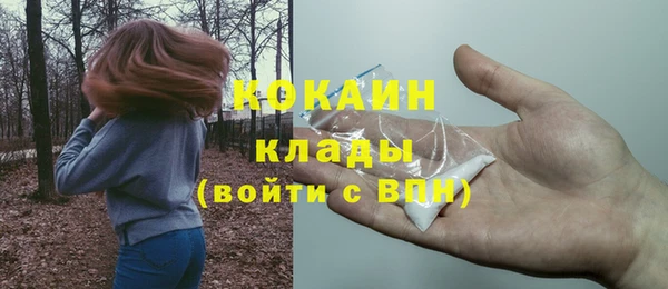 спайс Губаха
